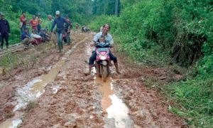 BUTUH PENANGANAN SEGERA