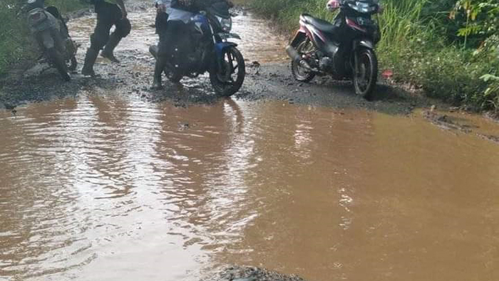 Butuh Kontribusi Perusahaan Sawit