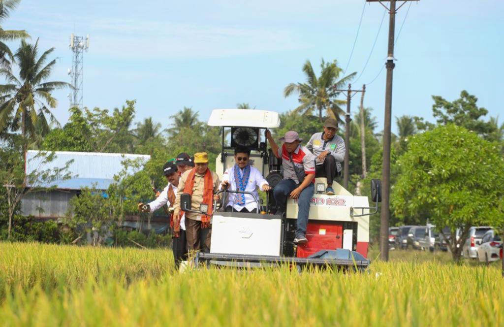 Jangan Takut El Nino, Ini Cara Kementan Jaga Stok Pangan Tetap Aman