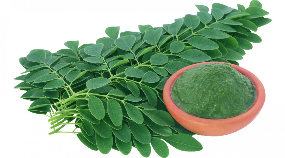 Sangat Populer di India, Ini 7 Khasiat Daun Kelor Untuk Tubuh