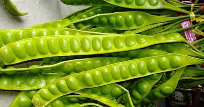 Healing Gocap, Manfaat Makan Petai Atasi Gangguan Depresi Anti Pergi Healing Duit Tabungan Jadi Banyak