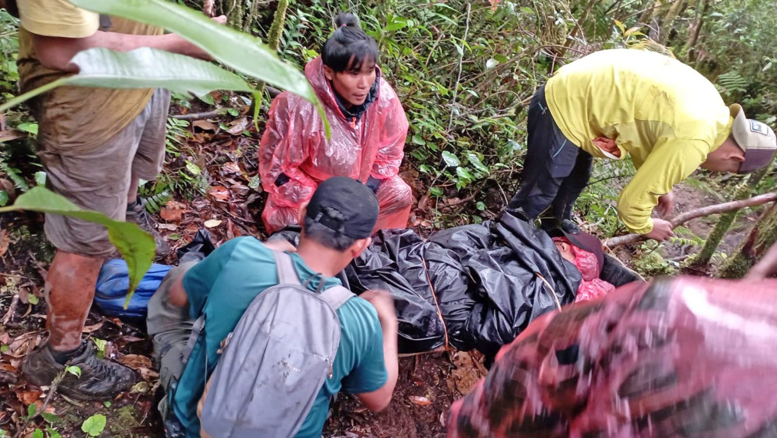 Angin Kencang, Pendaki ‘Tinggang’ Pohon Tumbang