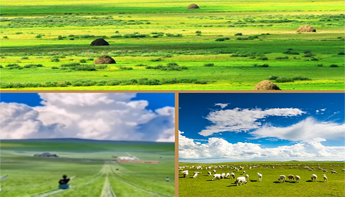 Traveling Hulunbuir Grassland: Menyusuri Keindahan Terpanjang di Asia