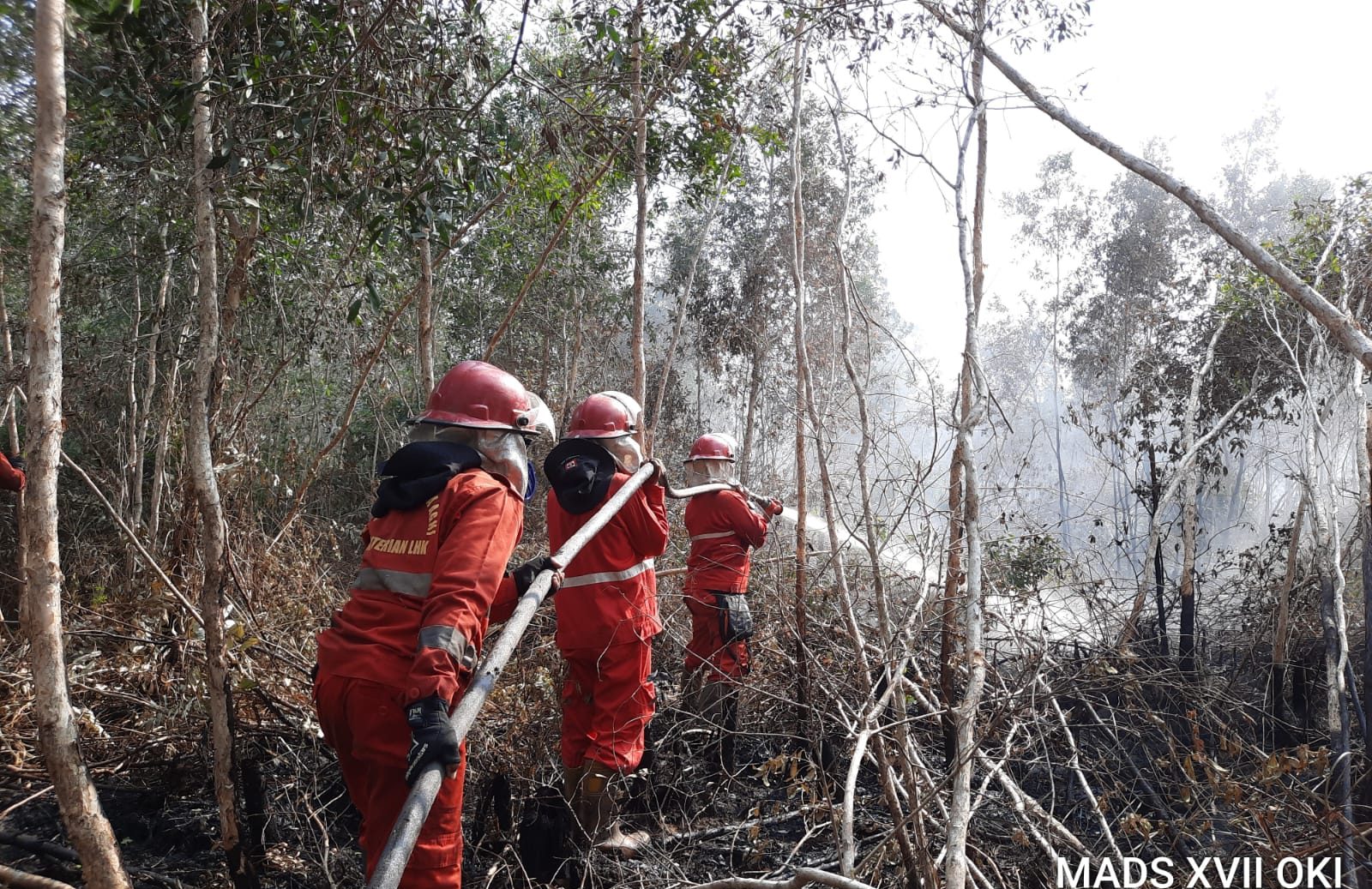 Gawat!, Api Sudah Membakar Bagian Dalam Lahan Gambut