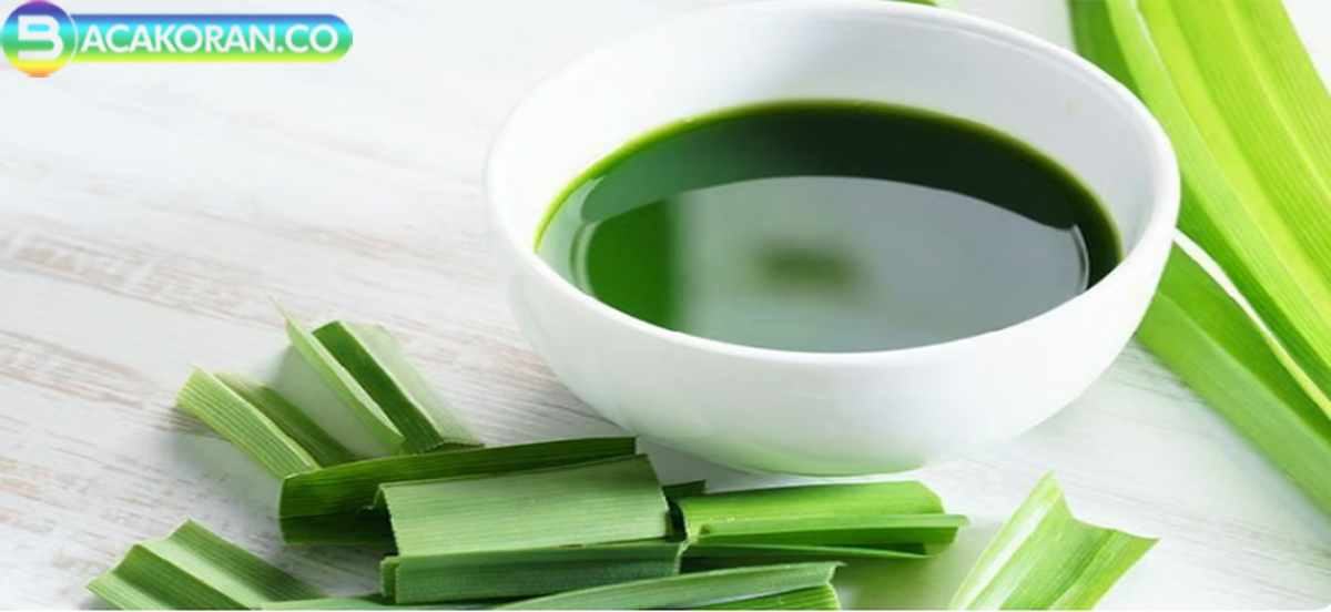 Ajib, Ini Keajaiban Daun Pandan untuk Kesehatan dan Penurunan Gula Darah