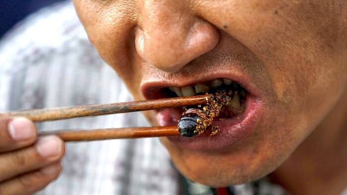 Menggigit Ketakutan! 9 Makanan Thailand Ini Ternyata Enak Lho