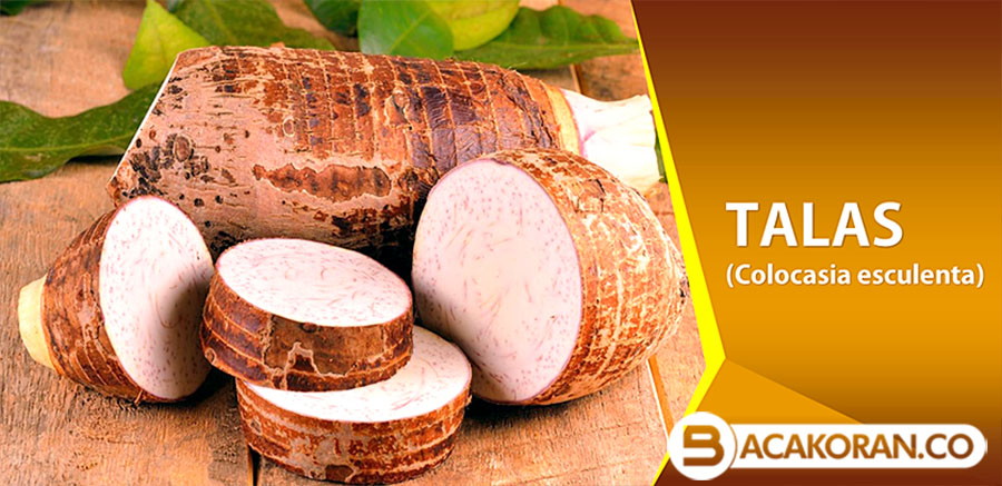 Jarang Ada yang Tau! Manfaat Talas, Menjaga Kadar Gula Darah