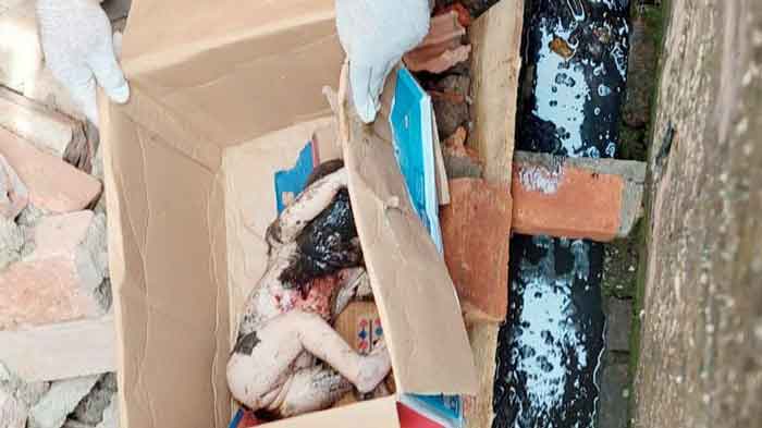 Bangkai Orok di Saluran Air