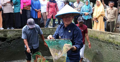 Pemkot Akan Bantu Budidaya Ikan