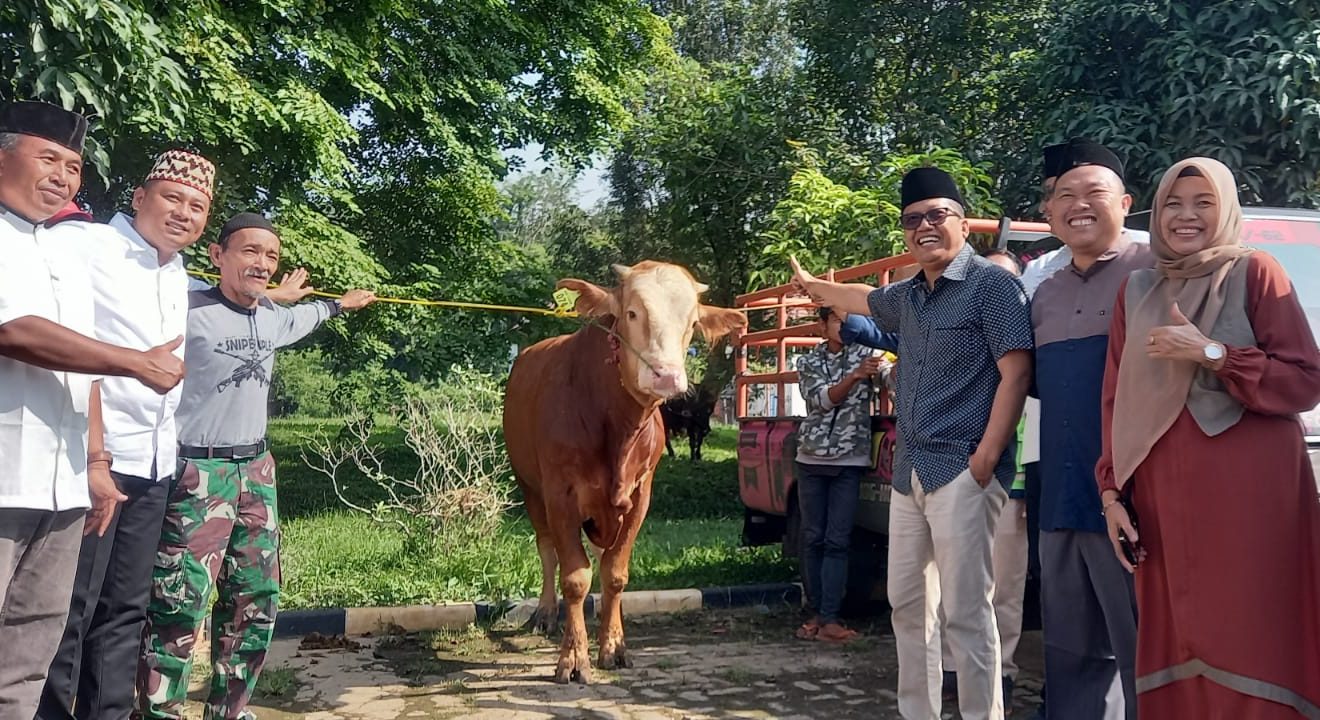 Ajib, Karyawan dan Perusahaan Ini Bagikan 200 Ekor Sapi dan Kambing