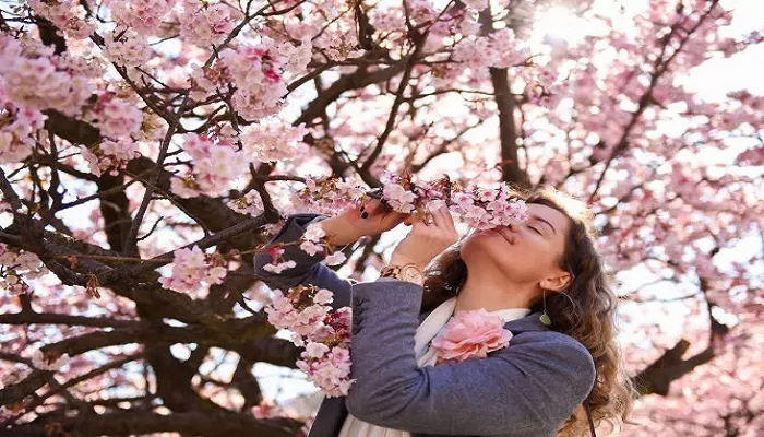 10 Bunga Liar yang Menakjubkan: Keindahan Alam yang Mengagumkan