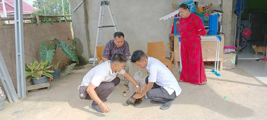 Puluhan Ekor Ayam Mati Diduga Terserang Virus
