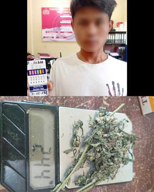 Ganja Dibeli Rp10 Ribu