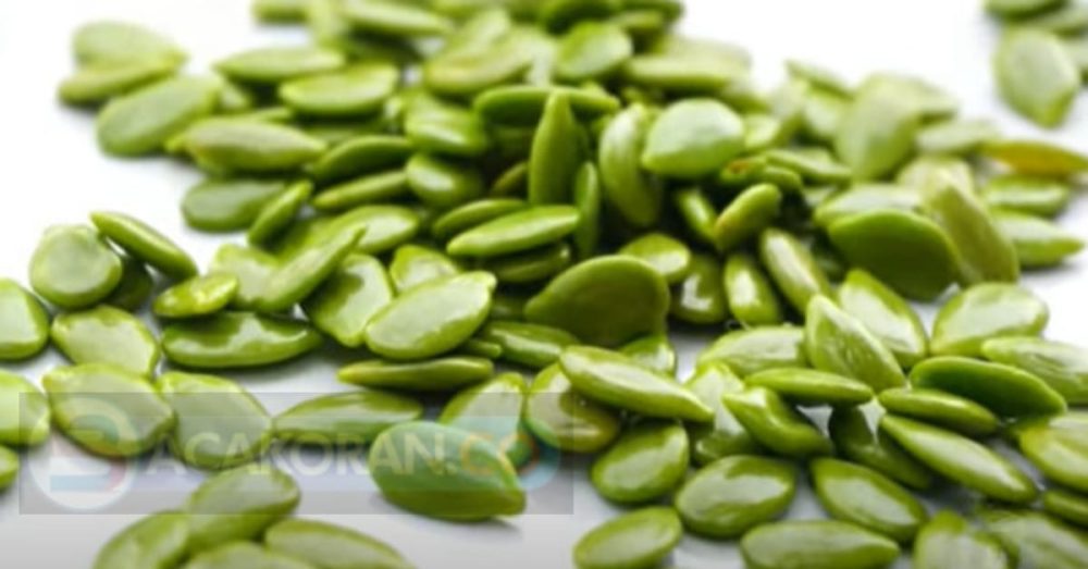 Petai Cina: Kekayaan Nutrisi Dalam Ukuran Kecil