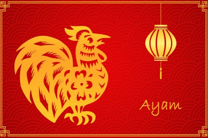 Pemilik Shio Ayam, Tahun Ini Memang Milik Kamu, Rejeki Bakal Lancar, Karir Sukses, Kekayaan Berlimpah