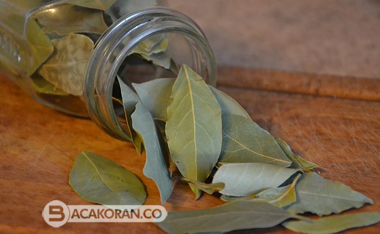 Luar Biasa ! Mistis, 6 Khasiat Daun Salam di Bawah Bantal