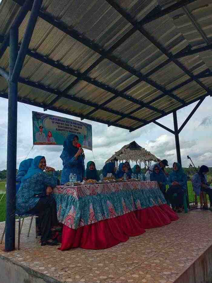 Rutin Mengadakan Pertemuan Bulanan, Ibu-ibu PKK Lubai Meriahkan Acara Bersama Mahasiswa UIN Raden Fatah Palemb