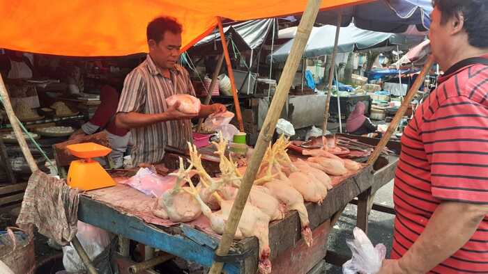 Sepekan, Harga Ayam Potong Tiga Kali Naik