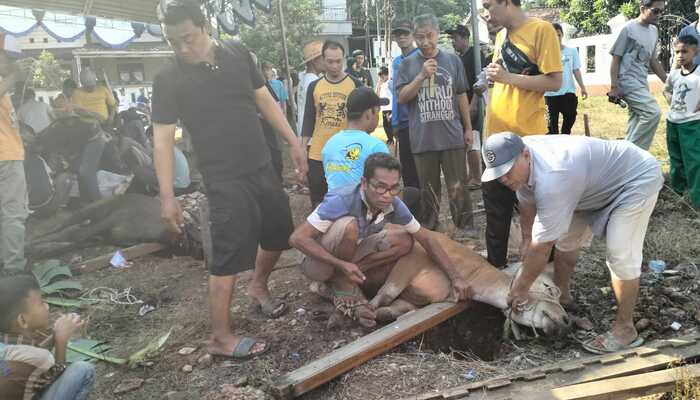 Semangat Qurban ! Bentuk Pengorbanan dan Ketaqwaan Kepada Allah SWT