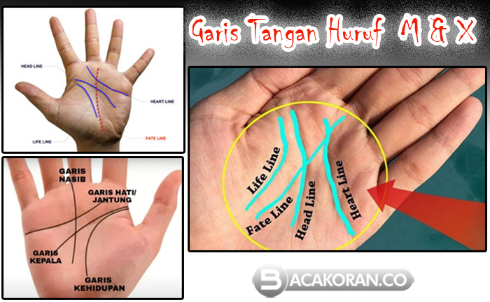 Rahasia di Balik Tangan Anda ! Makna Garis Tangan Berbentuk Huruf M dan X