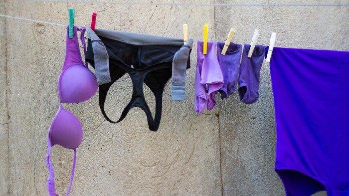 Ada Ada Saja, Pemuda Ini Curi BH di Jemuran , Alasannya Mau Dijual Untuk Beli Makan