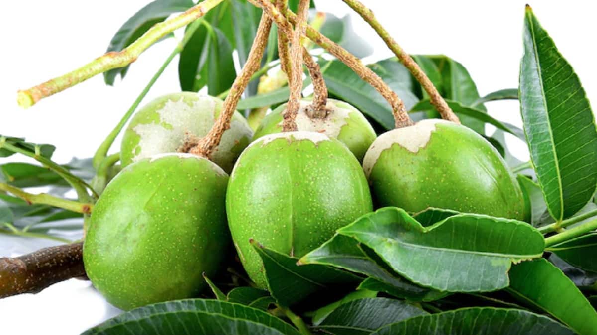 Buah Kedondong, Salah Satu Superfood dan Manfaatnya Bagi Kesehatan