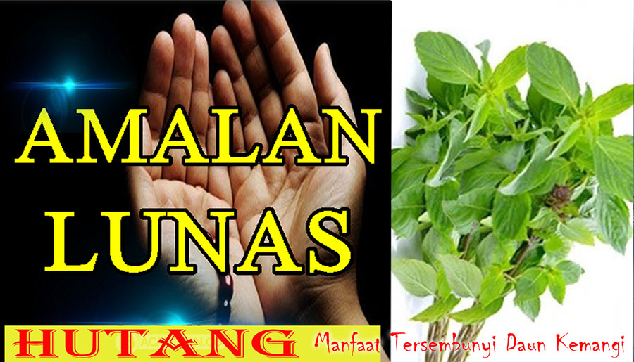 Rahasia Amalan Lunas Hutang! Manfaat Tersembunyi Daun Kemangi