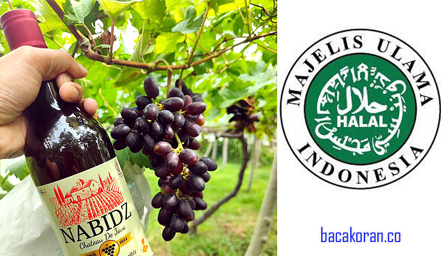 Heboh! Kontroversi Nabidz:Sertifikasi Halal Red Wine yang Ternyata Jus Buah!”
