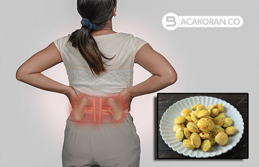 Jengkol ! Risiko Penyebab Kerusakan Ginjal, Kenali dan Hindari!