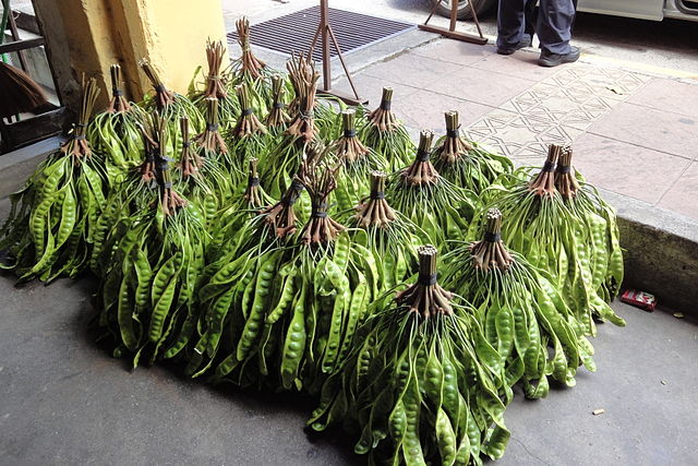 Kenapa Petai Bau? Manfaat Petai Bagi Kesehatan, Salah Satunya Mencegah Penyakit Alzheimer.