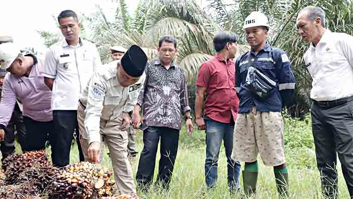 Raih Penghargaan Inovasi Permodelan PSR