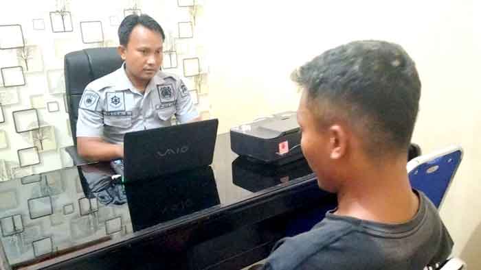 Pedagang Sapi Curi 3 Sapi