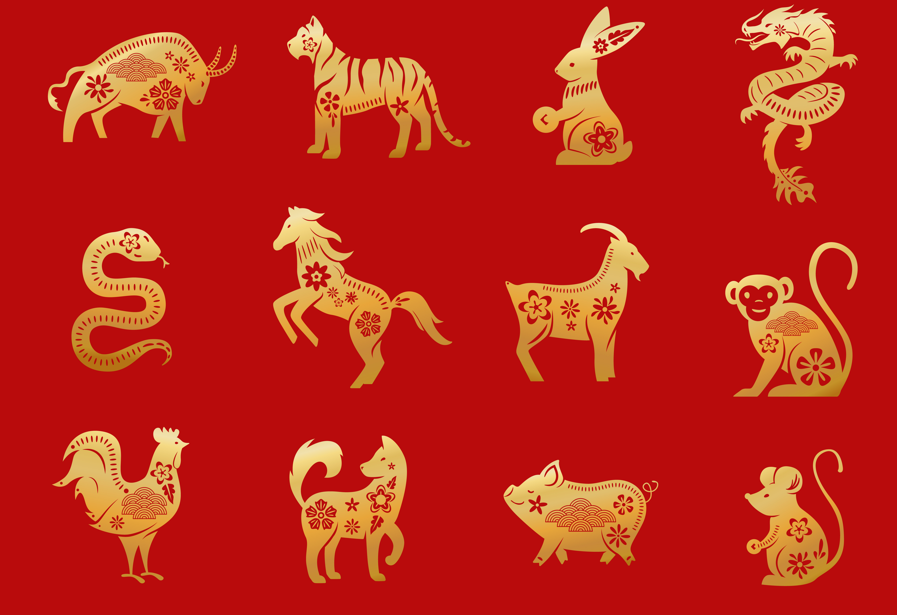 7 Shio Bakal Berprestasi dalam Kreativitas, Kambing Jiwa Artistik dan sentimental