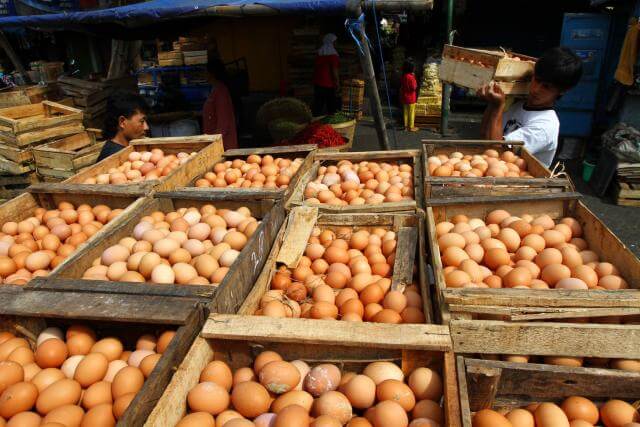 Edan, Harga Telur Melambung Tinggi, Kini Per Buah Mencapai Rp 2800