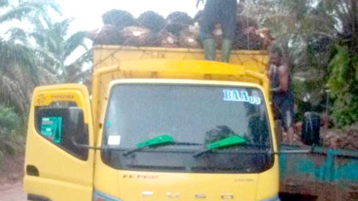 Lapor Ditembak, Dada Hanya Memerah