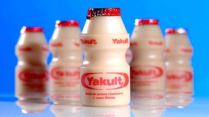 Buruan Kuy! Ini Info Loker Dari Yakult, Ditutup 31 Mei, Jangan Sampai Ketinggalan
